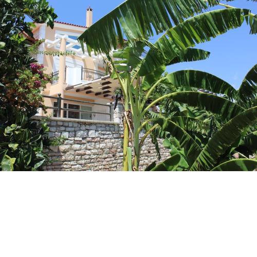 Ένα σπίτι γεμάτο φύση! - A house full of nature!