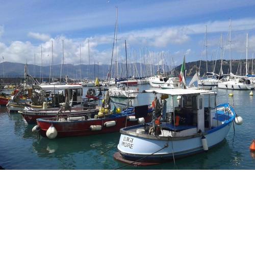 099 - A Casa di Chiara, centro Lerici 50 metri dal mare