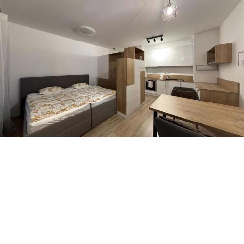1 room Apartment with terrace, Petržalka