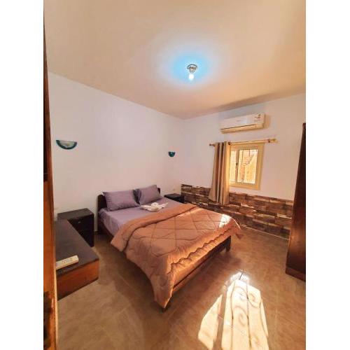 10 steps Apartments