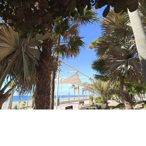 100 Meters From the Beach Town Center