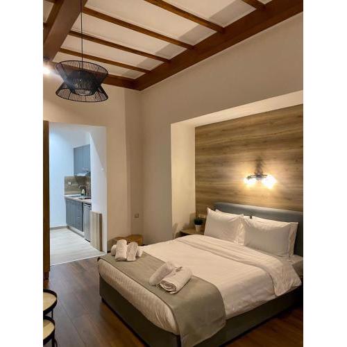 11 Luxury Apartments Metsovo.