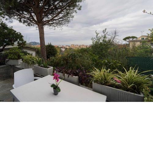 119 - Villa Ondina con piscina, 800metri dal mare e spiaggia