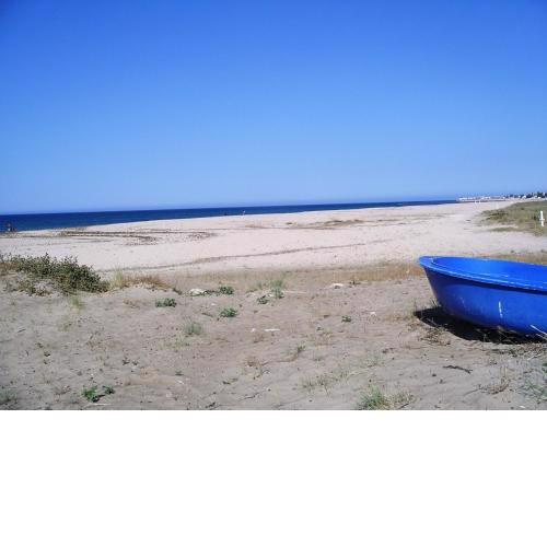 143 Bonamar