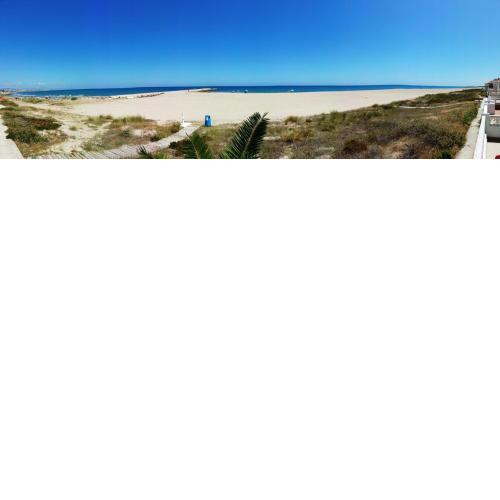 156 Bonamar