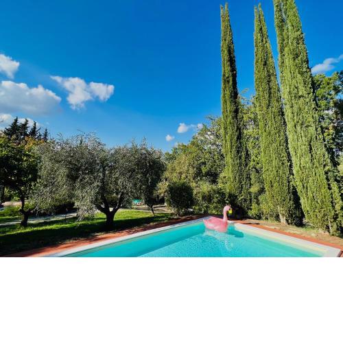 1700s stone farmhouse with 3 bedrooms 1 den and pool in Giove, Umbria