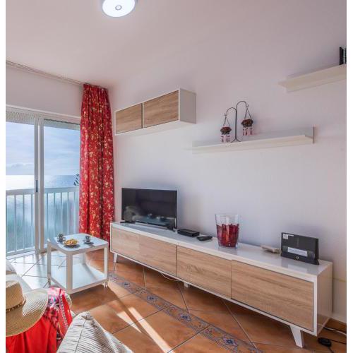 1B WONDERFUL SEA VIEW Playa De Las Vistas