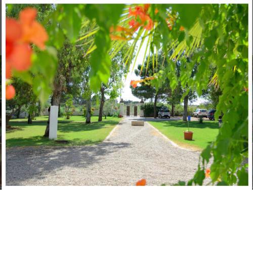 2 bedrooms appartement at Campomarino 500 m away from the beach with sea view shared pool and jacuzzi