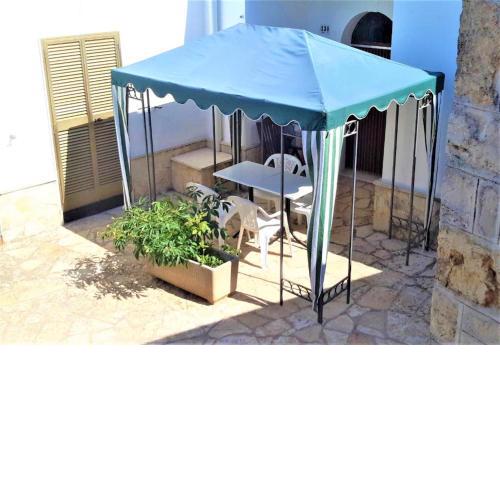 2 bedrooms appartement with furnished terrace and wifi at Locorotondo