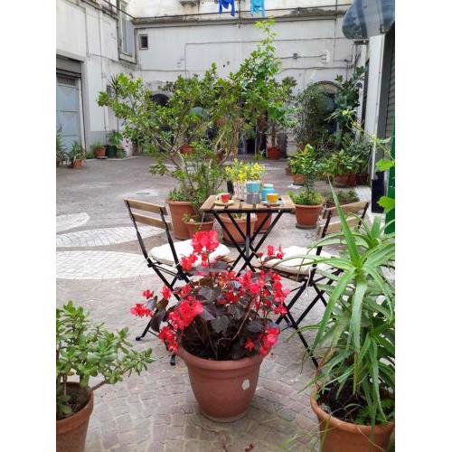2 bedrooms appartement with furnished terrace and wifi at Napoli
