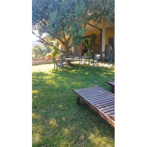 2 bedrooms appartement with lake view enclosed garden and wifi at San Mauro Pascoli 3 km away from the beach