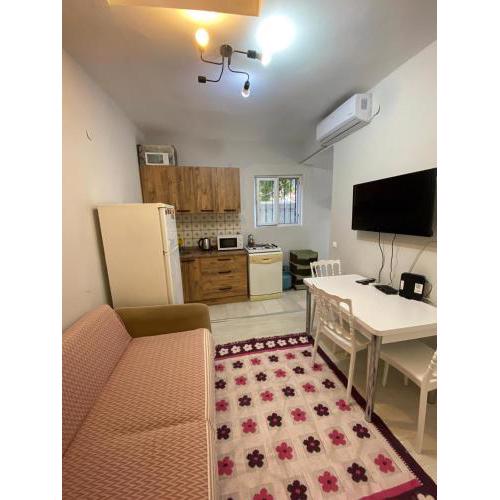 2+1 full furnitured House in city center