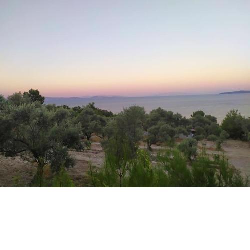 2+1 wooden house with sea view in Karaburun