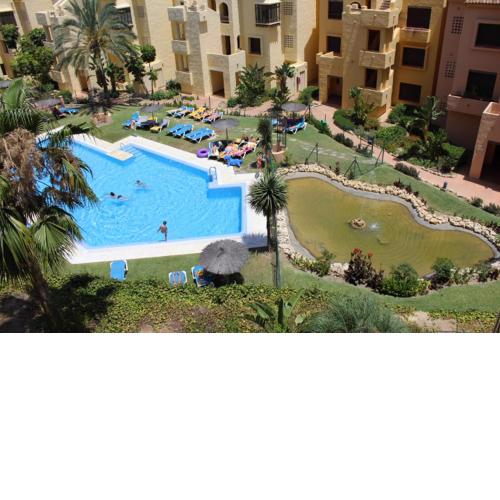 2114-Apt with nice terrace with pool view