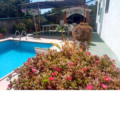 3 bedrooms appartement with sea view shared pool and enclosed garden at La Riera de Gaia 4 km away from the beach