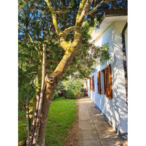 3 bedrooms house at Lacona 100 m away from the beach with enclosed garden