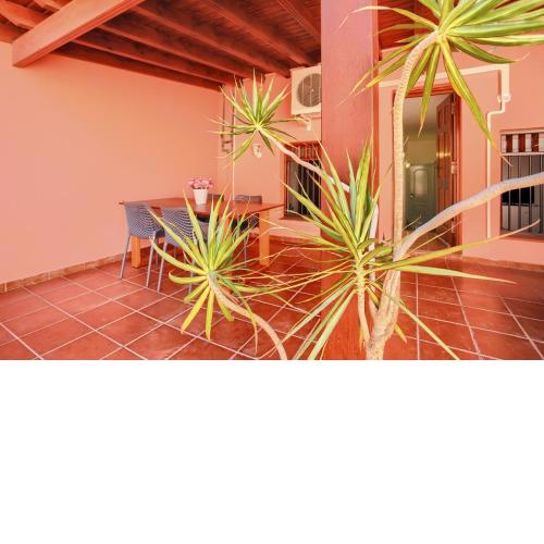 3 bedrooms house with enclosed garden and wifi at Santa Cruz de Tenerife 1 km away from the beach
