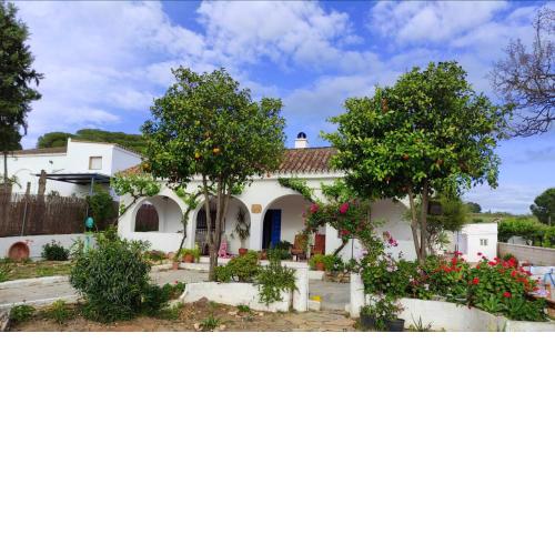 3 bedrooms villa with city view and enclosed garden at Arcos de la Frontera 4 km away from the beach