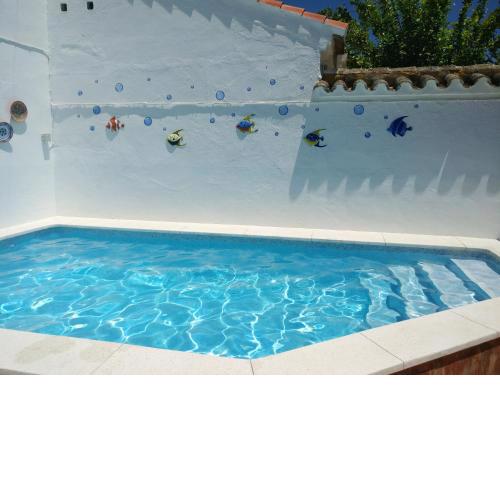 3 bedrooms villa with private pool furnished terrace and wifi at Encinarejo de Cordoba