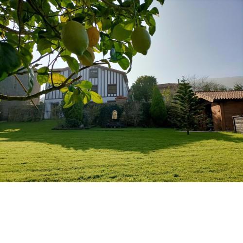 43A Nature with parking by Aston Rentals