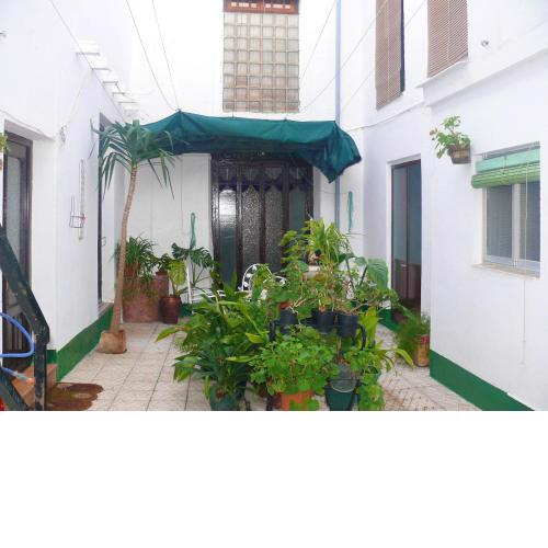 5 bedrooms house with enclosed garden at Teba