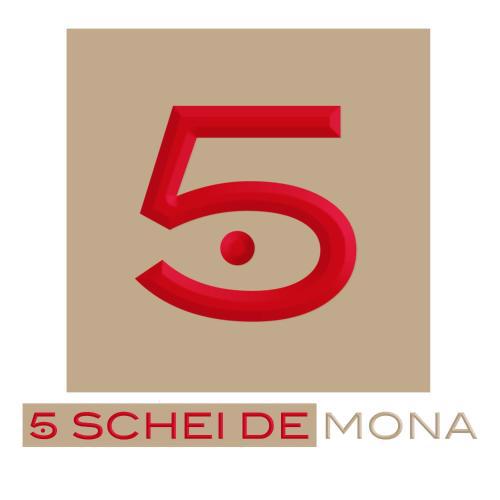 5 SCHEI DE MONA Wellness Holiday Apartment with GYM and the best Concierge Service in Venice