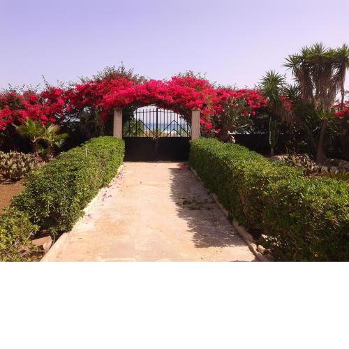 6 bedrooms house at Pachino 20 m away from the beach with sea view enclosed garden and wifi