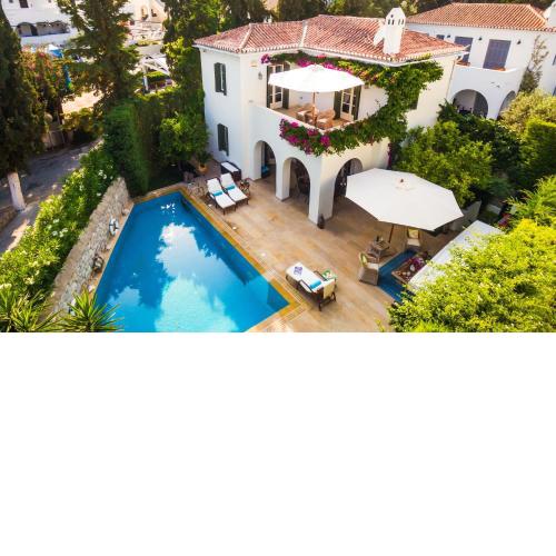 6 bedrooms villa with private pool enclosed garden and wifi at Spetses