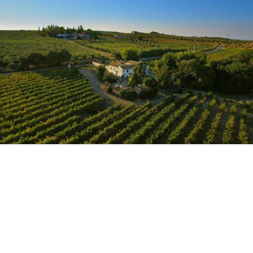 8 bedrooms villa with private pool and wifi at Montilla