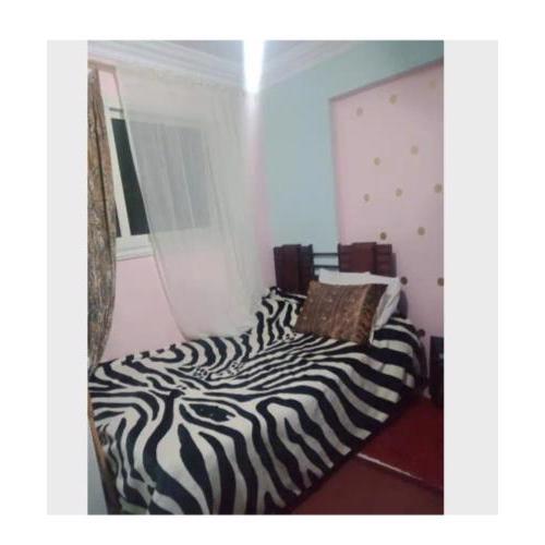 شقه سكنيه فى الاسكندريه