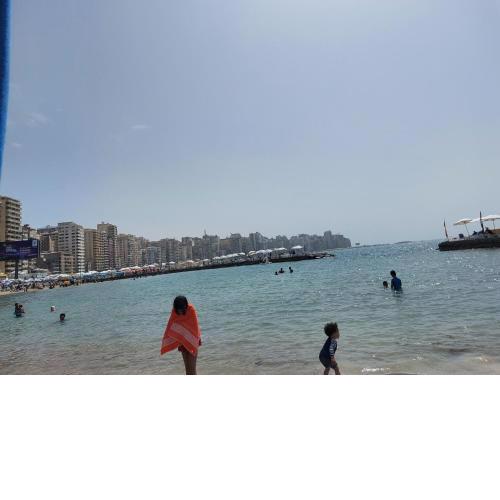شقه فندقيه إسكندرية العصافره عالبحر