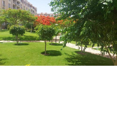 شقة بمدينتى