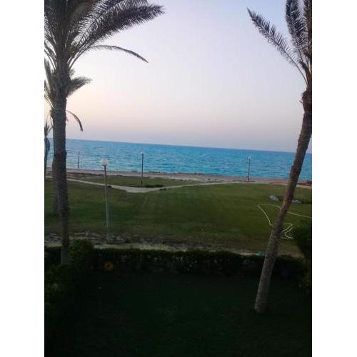 مارينا الساحل الشمالي