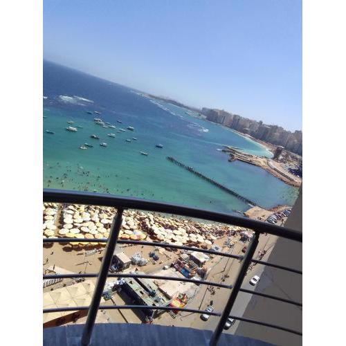 ميامى و العصافرة