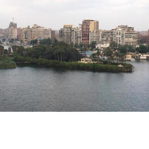 منيل الروضه عبد العزيز آل سعود