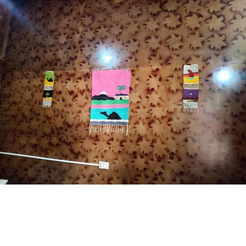 واحه عمر
