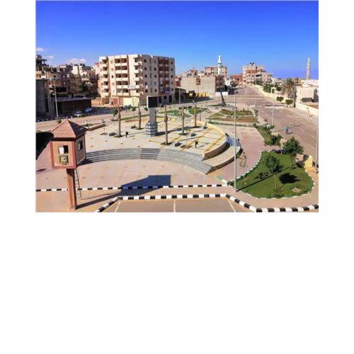 شمال سيناء . العريش . الزهور