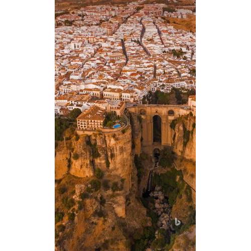 العلمين