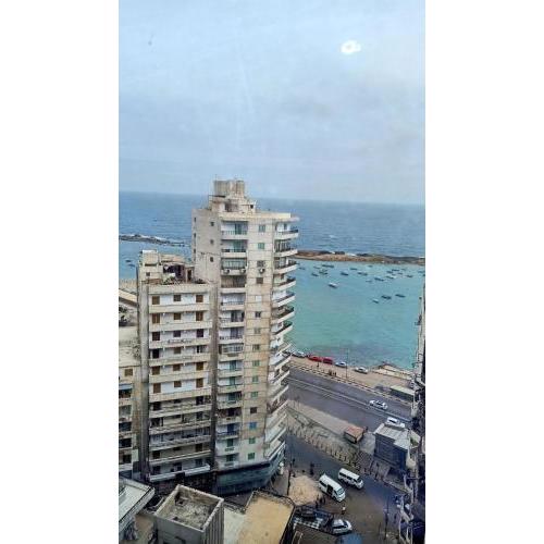 برج الصفوه القبطان محمد يسرى للعائلات فقط