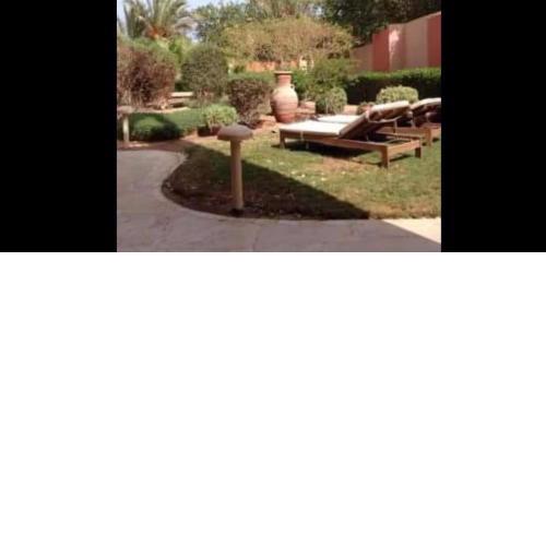 الجونة