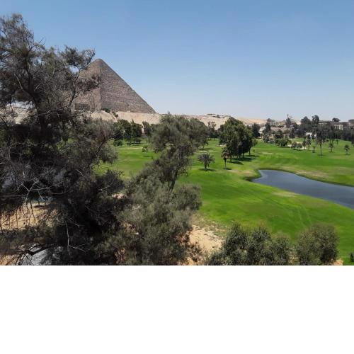 التورنج محيط فلفله