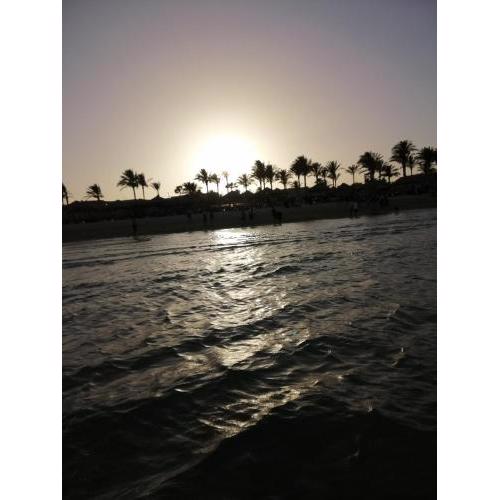 شالية بقرية بالميرا