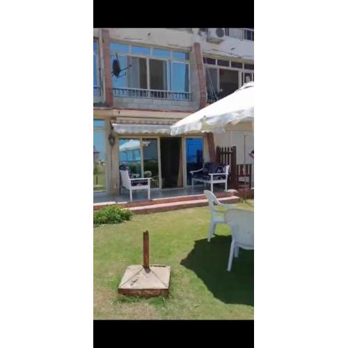 شاطئ المعموره الاسكندريه مصر