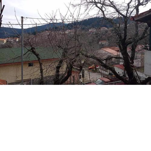 ΕΞΟΧΙΚΟ ΜΑΡΙΑ