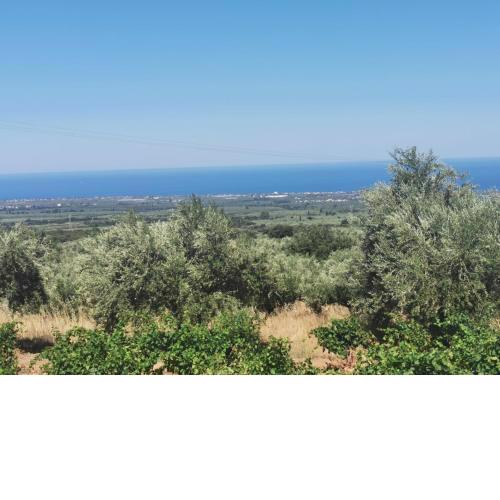 Εφχαριστη βιλα με εσωτερικο τζακι