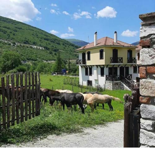 Ενοικιαζόμενη Παραδοσιακή κατοικία Σαν Παραμύθι