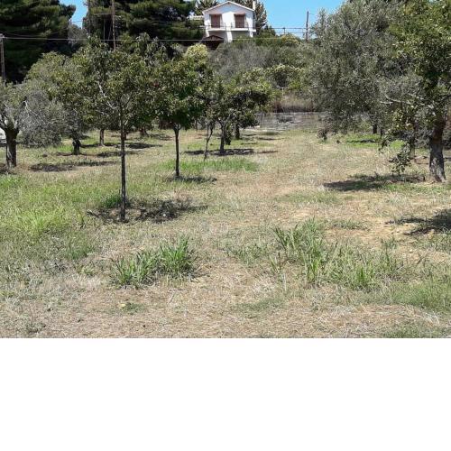 ΓΑΛΑΖΙΑ ΝΕΡΑ