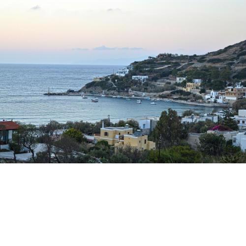 ΒΕΝ ΚΙΝΙ