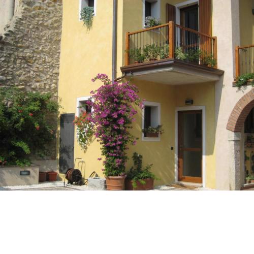 A Casa da Franz