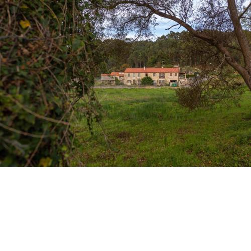 A Casa de Lelo